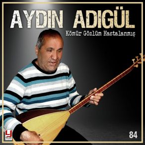 Download track Yaz Gazeteci Aydın Adıgül