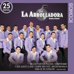 Download track El Vaso Derrama La Arrolladora Banda El Limón De René Camacho