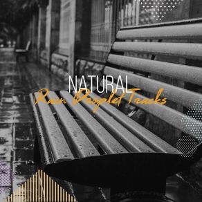 Download track Rain Dancing On The Sidewalk Deep Rain Sampling