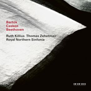 Download track 07. II. Andante Con Moto Thomas Zehetmair, Ruth Killius, Royal Northern Sinfonia