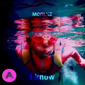 Download track I Know (Extended Mix) Moolkz