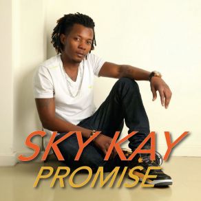 Download track Don't Blame It On Me (Original Mix) Sky KayShy B
