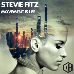 Download track Soul Control Stevie Fitz