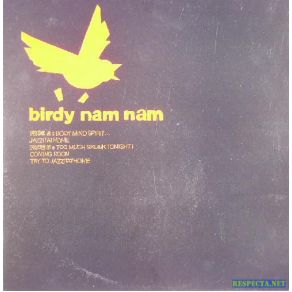 Download track Coming Soon Birdy Nam Nam