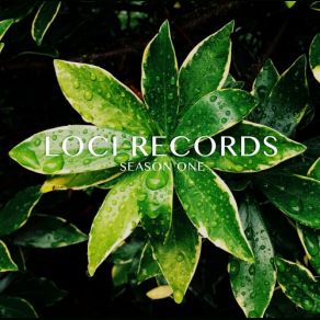 Download track Raindrop Loci RecordsStratus
