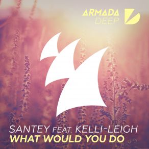 Download track What Would You Do (Extended Mix) Kelli Leigh, Santey