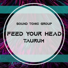 Download track Feed Your Head Taurum