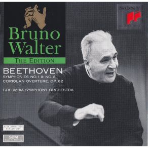 Download track 1. Symphonie Nr. 9 D-Moll Op. 125: I. Allegro Ma Non Troppo Un Poco Maestoso Ludwig Van Beethoven