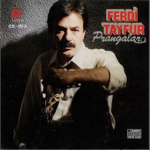 Download track Gittin O Gidiş Ferdi Tayfur