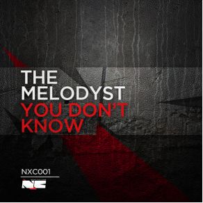 Download track You Don't Know The Melodyst
