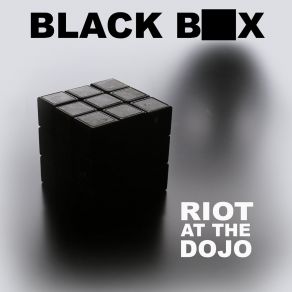 Download track Rally Around The Flag Riot At The Dojo