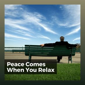 Download track At Peace Best Relaxing Music