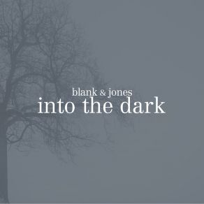 Download track Into The Dark Blank & Jones