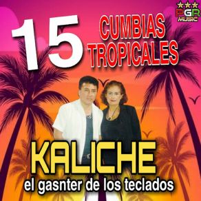 Download track Maria Jose Kaliche El Ganster De Los Teclados