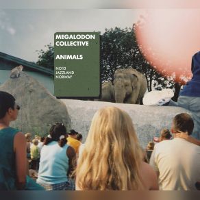 Download track Moby Megalodon Collective