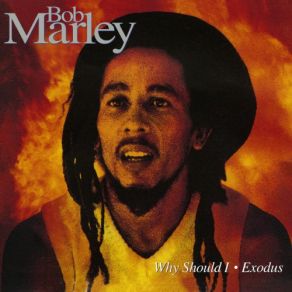 Download track Why Should I (Bone Remix Edit) Bob Marley, The Wailers