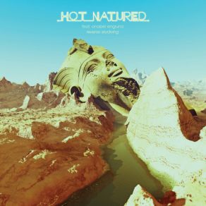 Download track Reverse Skydiving (Original Mix) Hot Natured, Anabel Englund
