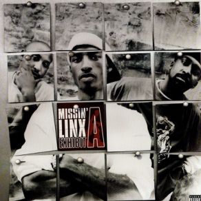 Download track M. I. A. Missin' Linx