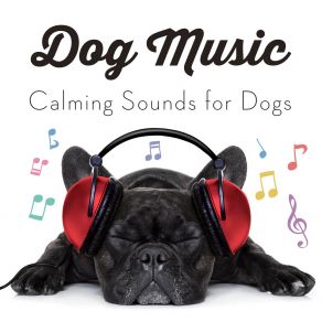 Download track Dreaming Of Playing Fetch Dog Music ExperienceDog Music, Dog Music Library, Music For Dog's Ears