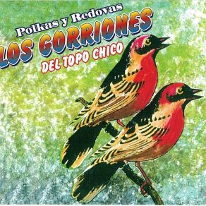 Download track El Cerro De La Silla Los Gorriones Del Topo Chico