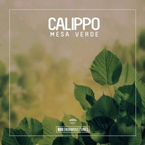 Download track Mesa Verde (Original Mix) Calippo