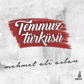 Download track Teslim Olmayan Kale Mehmet Ali Aslan