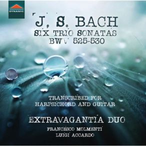 Download track 06 - Organ Sonata No. 4 In E Minor, BWV 528 (Arr. For Guitar & Harpsichord) - III. Un Poco Allegro Johann Sebastian Bach