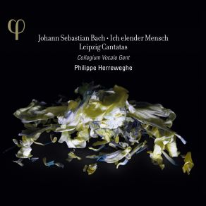 Download track Ich Glaube- Lieber Herr- Hilf Meinem Unglauben- BWV 109 - Recitative- Des Herren Hand Ist Ja Noch Nicht Verkurzt (Tenor) Philippe Herreweghe