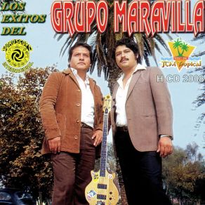Download track Amapola Grupo Maravilla