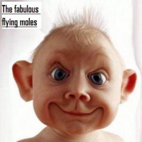 Download track Rain Of Tears The Fabulous Flying Moles