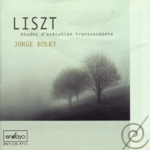 Download track 12. Études D'exécution Transcendante - Chasse-Neige Franz Liszt