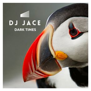 Download track Dark Times DJ Jace