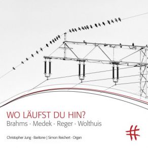 Download track Chorale Preludes, Op. 122 (Excerpts): No. 11, O Welt, Ich Muss Dich Lassen Simon Reichert