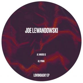 Download track Where Is Joe Lewandowski
