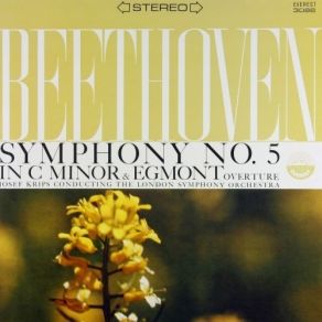 Download track 01 - Symphony No. 5 In C Minor, Op. 67 ''Fate''- I. Allegro Con Brio Ludwig Van Beethoven