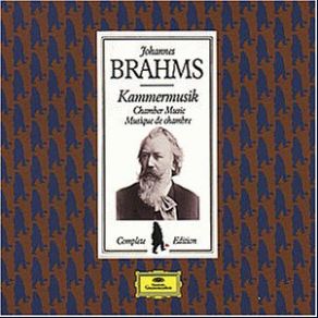 Download track Ring Quartet No. 2 In A Minor, Op. 51 No. 2 Allegro Non Troppo Johannes Brahms, LaSalle Quartet