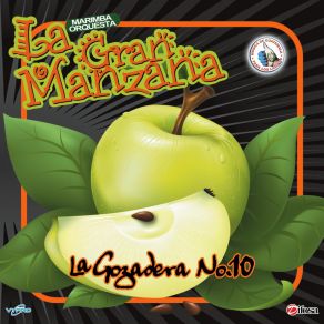 Download track Claridad (Stella Stai) Marimba Orquesta La Gran Manzana