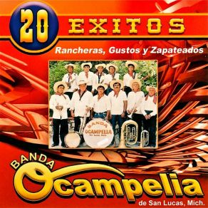Download track La Tortolita Banda Ocampelia De San Lucas Michoacán