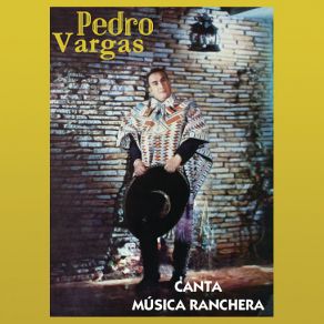 Download track Tú Solo Tú Pedro Vargas