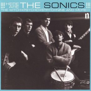 Download track The Witch The Sonics
