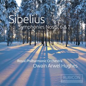 Download track 6. Symphony No. 6 In D Minor Op. 104 - III. Poco Vivace Jean Sibelius