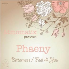 Download track Feel 4 You (Original Mix) Phaeny