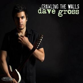 Download track It's My Life, Baby David Gross