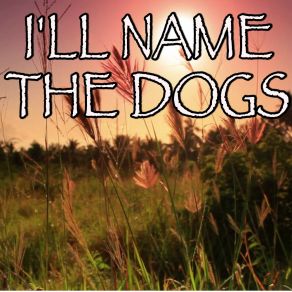 Download track I'll Name The Dogs - Tribute To Blake Shelton Billboard