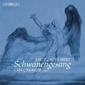 Download track 02. Schwanengesang, S. 560 (After Schubert's D. 957) No. 14, Kriegers Ahnung Franz Liszt