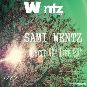 Download track Love Speechless (Original Mix) Sami Wentz