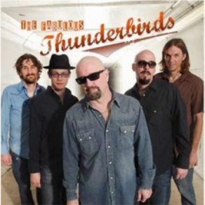 Download track Take Me As I Am The Fabulous Thunderbirds