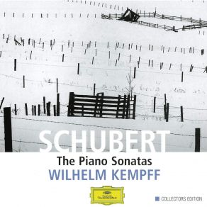 Download track 9. Sonata In A Minor D. 784 Op. 143 - III. Allegro Vivace Franz Schubert