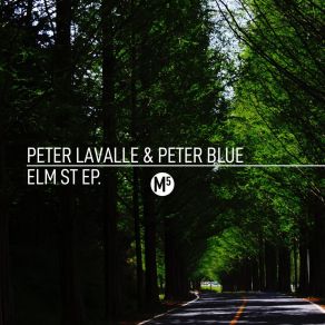 Download track West (Original Mix) Peter Lavalle