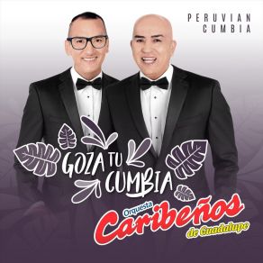 Download track Historia De Amor Orquesta Caribeños De Guadalupe